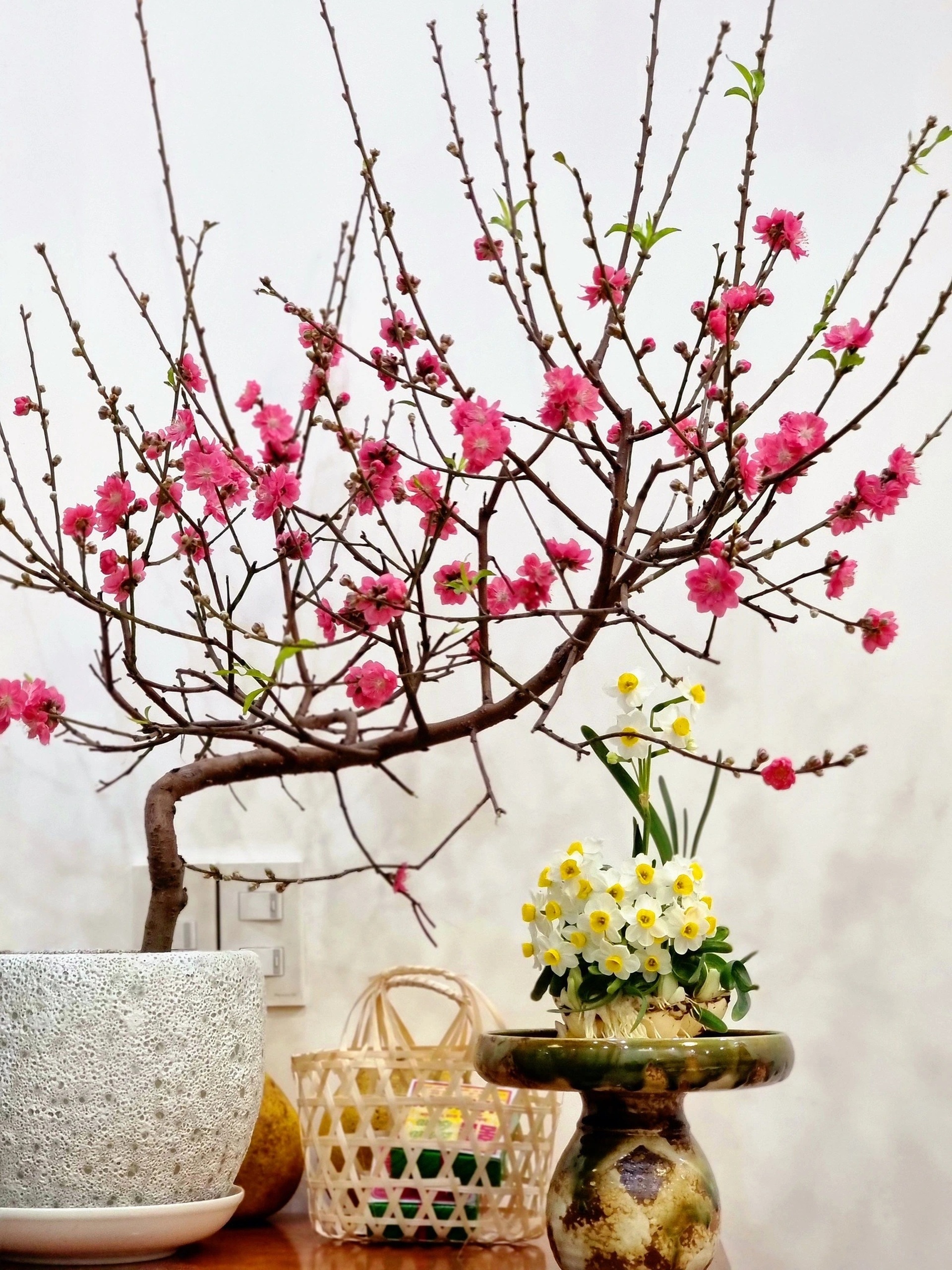 Kỳ công thú chơi hoa nhà giàu, canh thời gian nở đúng đêm giao thừa - 3 Kỳ công thú chơi hoa nhà giàu, canh thời gian nở đúng đêm giao thừa - 3