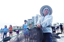 Kiếm tiền triệu mỗi ngày bằng nghề "đi giật lùi" ở biển