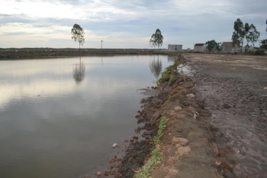 Hai anh em họ chết đuối khi chơi đùa gần ao