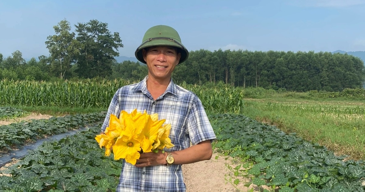 Làm điều này với hoa, người trồng bí, mướp thu nhập gấp 3