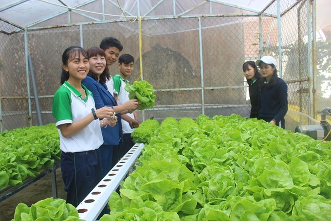 Sau những giờ học trên lớp, học sinh rất thích thú với việc chăm sóc rau, hoa.