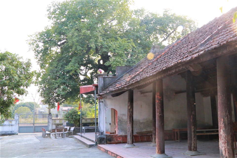 Cụ thị gốc chục người ôm không xuể sống qua 8 thế kỷ ở Ninh Bình - 9 Cụ thị gốc chục người ôm không xuể sống qua 8 thế kỷ ở Ninh Bình - 9