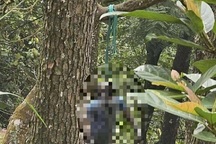 Truy tìm tung tích nam giới chết trong tư thế treo cổ ở Tam Đảo