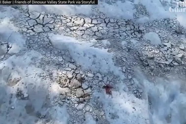 Sông cạn trơ đáy lộ ra những dấu chân khủng long khoảng 113 triệu năm