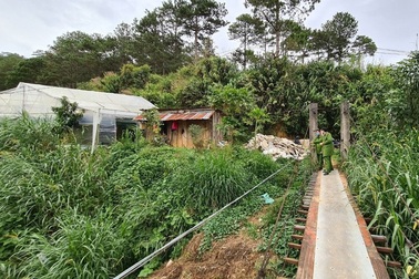 Ba người trong gia đình tử vong dưới suối