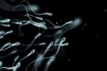 Xét nghiệm tinh dịch đồ tiết lộ điều gì về tình trùng?