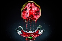 Đồ ăn thối rữa “lung linh” trong những bức ảnh đặc biệt