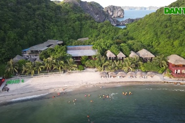 Chuyện về người đàn ông gốc Hà Nội bán biệt thự, ra đảo làm "người rừng"