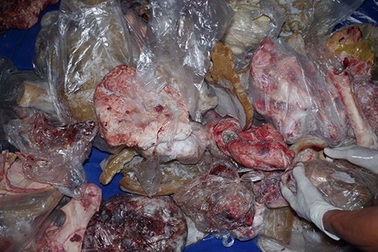 Lại phát hiện cơ sở dùng hóa chất “biến” thịt thối thành thịt tươi