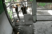 Xôn xao clip nhóm thanh niên phá cửa "đòi" nhà ở TPHCM