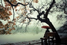 Rét nàng Bân: Cơ sở khoa học nào lý giải cho hiện tượng kỳ lạ