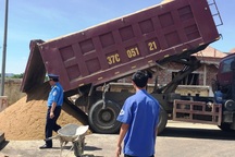 Thanh tra Sở GTVT Nghệ An xử lý xe quá tải  “băm nát” quốc lộ, đường Hồ Chí Minh