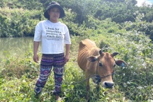 Vụ cấp bò sinh sản nhỏ như bê ở Kon Tum: Kỷ luật chủ tịch xã