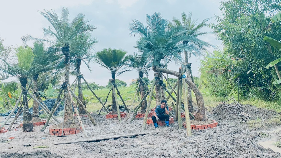 Rời TPHCM lên cao nguyên ở, kỹ sư IT tự làm nhà, nuôi trợ lý ảo giúp việc - 1 Rời TPHCM lên cao nguyên ở, kỹ sư IT tự làm nhà, nuôi trợ lý ảo giúp việc - 1
