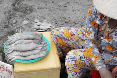 Cận cảnh mực “siêu rẻ” ở Cần Thơ	