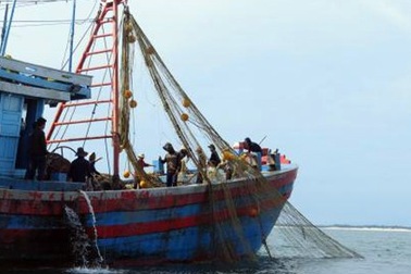 Xã "khẩn thiết kêu cứu" vì tàu xung kích điện tàn phá ngư trường