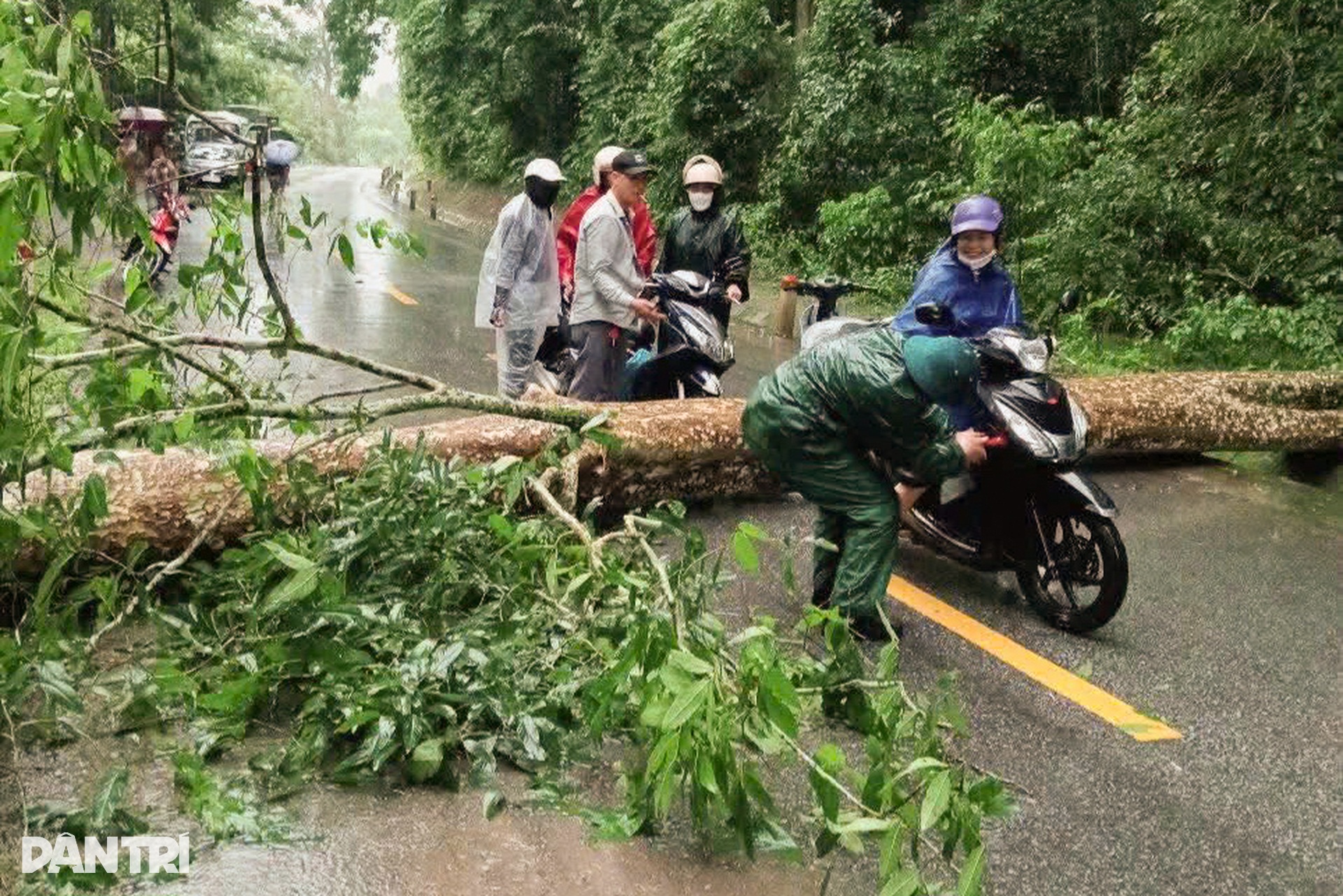 Tàu lật, cây đổ, nhà tốc mái do ảnh hưởng bão Wipha - 2 Tàu lật, cây đổ, nhà tốc mái do ảnh hưởng bão Wipha - 2