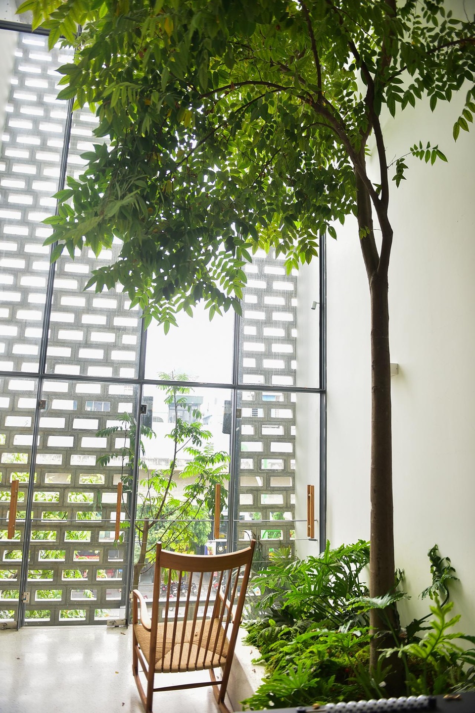Nhà ống chật hẹp ở Hà Nội đẹp ấn tượng nhờ các khu vườn treo xanh mát - 5