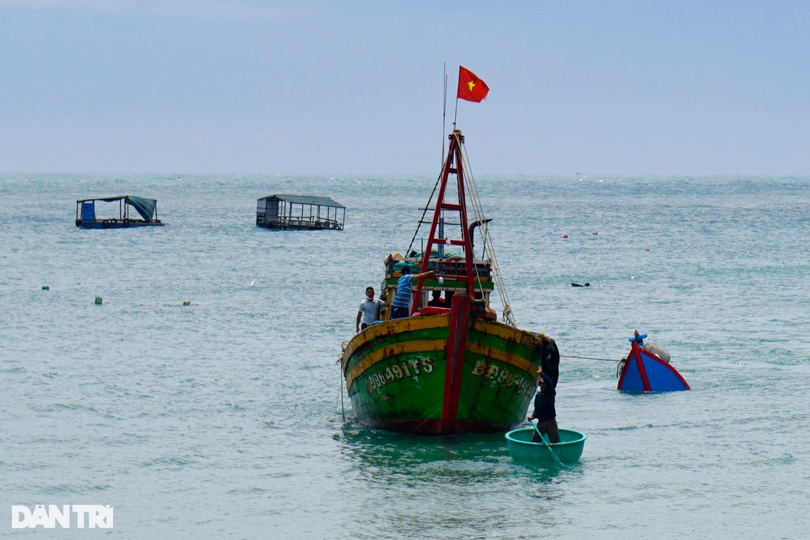 4 tàu cá Bình Định hỗ trợ tìm kiếm ngư dân rơi xuống biển, mất tích - 1 4 tàu cá Bình Định hỗ trợ tìm kiếm ngư dân rơi xuống biển, mất tích - 1