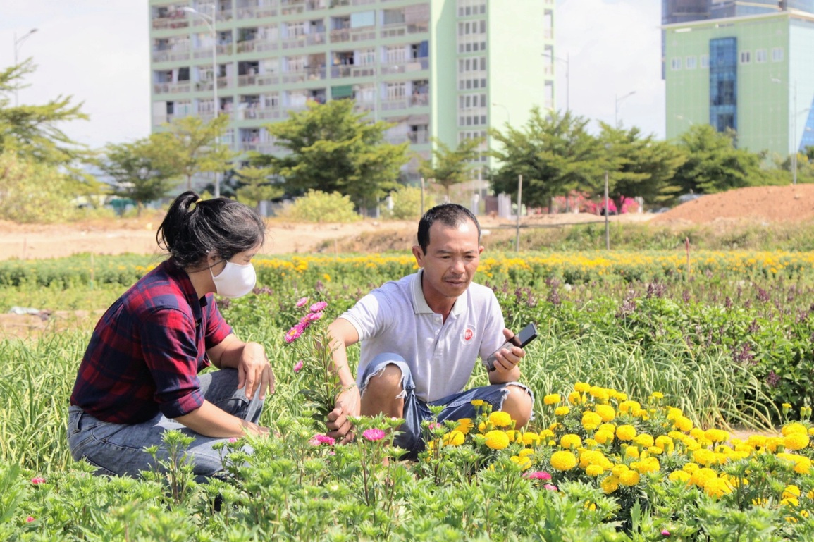 Tết cuối ở làng hoa Mỹ Bình trước khi nhường đất xây khu đô thị - 5 Tết cuối ở làng hoa Mỹ Bình trước khi nhường đất xây khu đô thị - 5