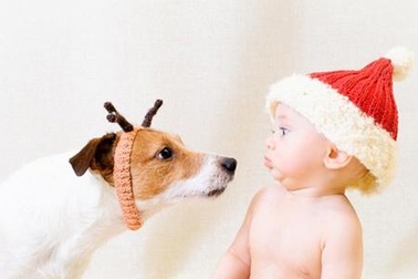 Tan chảy với khoảnh khắc đáng yêu giữa bé và thú cưng