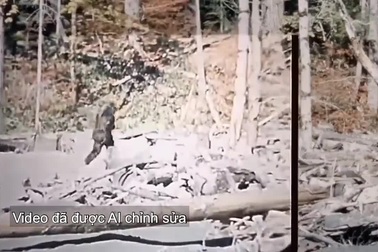 AI vén màn bí mật về "quái vật" Bigfoot