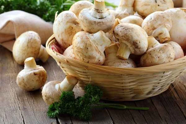 Chuyên gia Nhật Bản tìm ra thực phẩm đơn giản ngừa ung thư tuyến tiền liệt