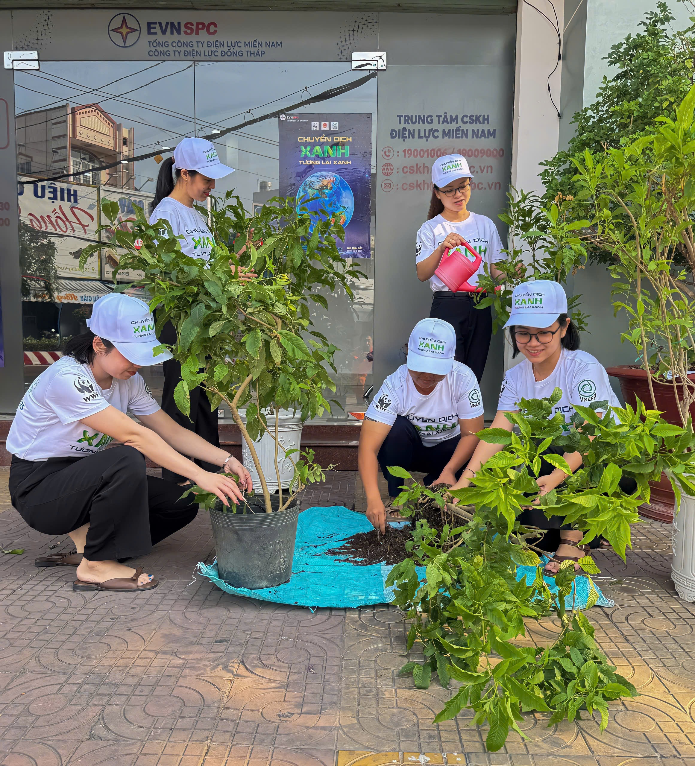 Điện lực Sa Đéc - Công ty Điện lực Đồng Tháp hưởng ứng chiến dịch trồng cây nhân dịp "Giờ Trái Đất"