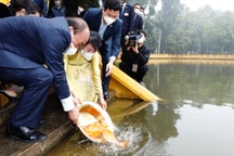 Chủ tịch nước cùng kiều bào thả cá chép tiễn ông Công ông Táo