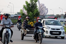 Nghề "kéo Tết về nhà" kiếm bộn tiền mỗi ngày