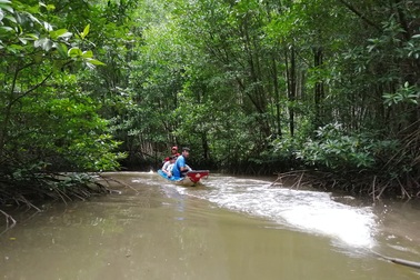 Cà Mau phát động cuộc thi “Ảnh đẹp du lịch Cà Mau năm 2020”