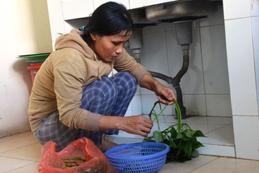 “Mẹ ơi, đừng để chúng con thất học”