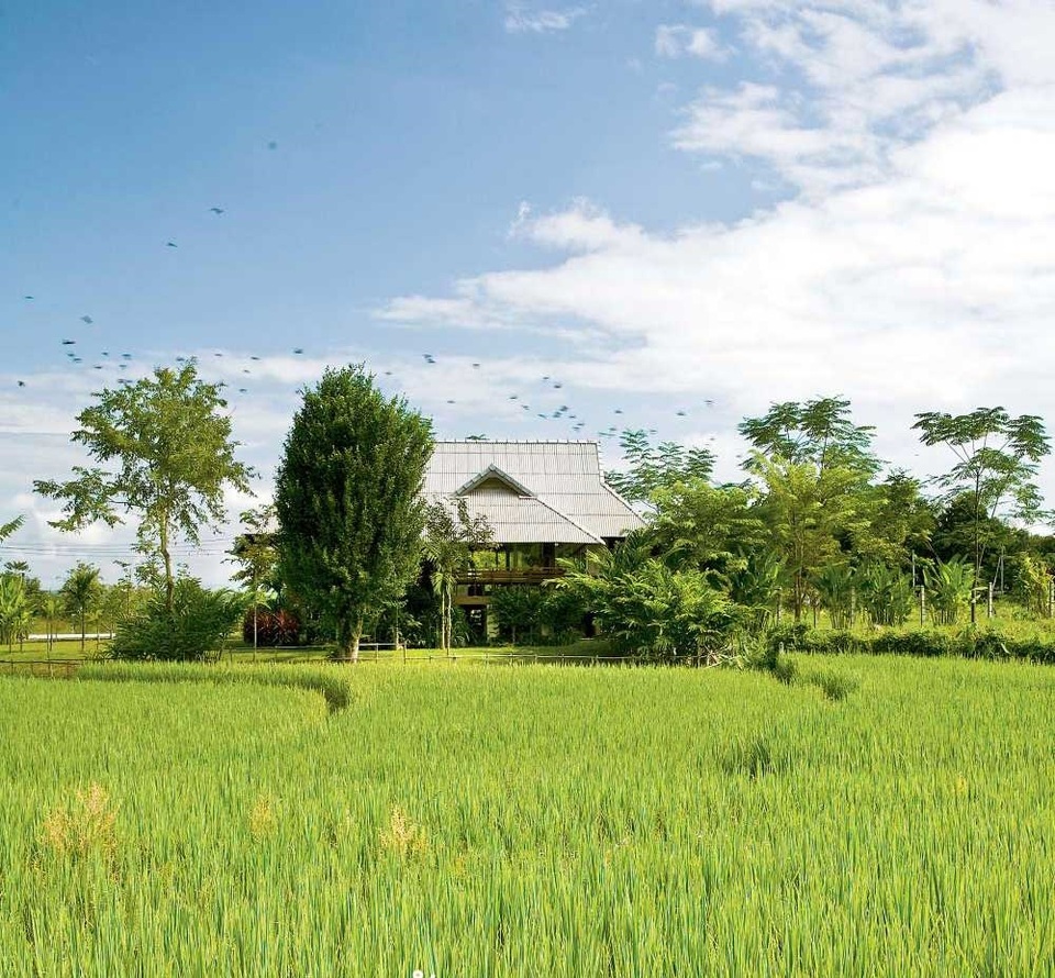 Không cần biệt thự hoành tráng, nhà cấp 4 ở quê vẫn vừa đẹp vừa chất - 2 Không cần biệt thự hoành tráng, nhà cấp 4 ở quê vẫn vừa đẹp vừa chất - 2