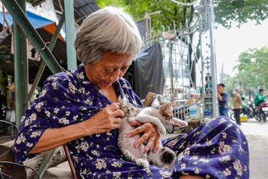 Cụ bà U80 treo biển bán nhà, quyết nhịn ăn nuôi đàn mèo hoang