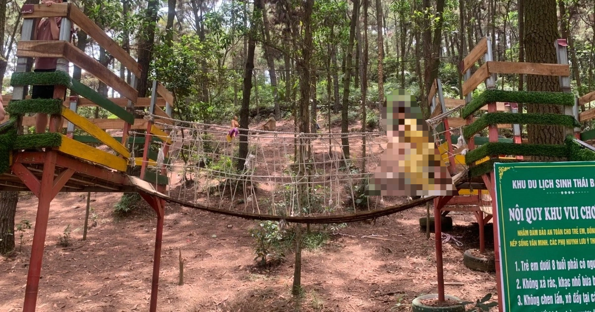 Gallery - 5 năm đi trải nghiệm 5 lần tại cùng một nơi, học sinh "thu hoạch" được gì? | Báo Dân trí