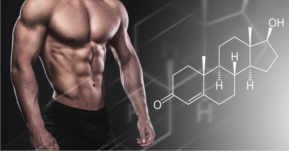 Testosterone cao có giúp nam giới thành công hơn? - 2 Testosterone cao có giúp nam giới thành công hơn? - 2