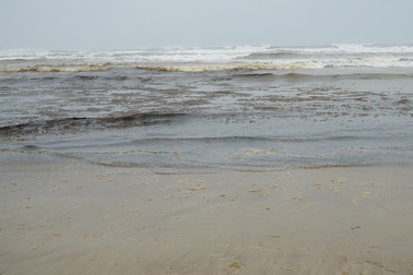 Đã xác định được nguyên nhân làm nước biển đổi màu