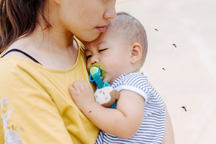 Mối nguy của sốt xuất huyết