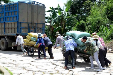 Ngăn chặn 333 người dân sang Trung Quốc làm thuê trái phép