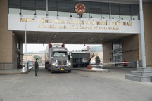 Xuất khẩu lô hoa quả tươi sang Trung Quốc qua cửa khẩu Kim Thành