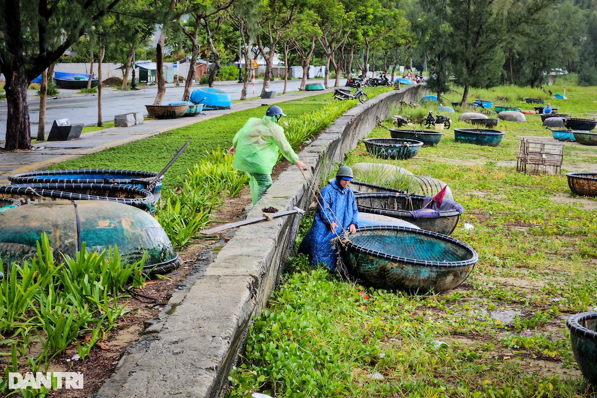 Ngư dân Đà Nẵng chi tiền triệu thuê xe cẩu thuyền lên bờ tránh bão - 5