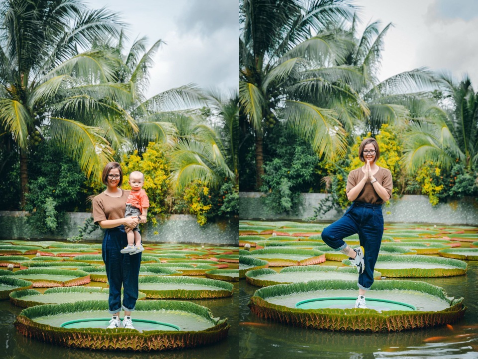 Ngôi chùa hút khách nhờ loài sen lạ, có thể cõng người trưởng thành - 4 Ngôi chùa hút khách nhờ loài sen lạ, có thể cõng người trưởng thành - 4