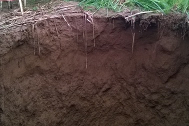 Hố sâu hàng chục mét xuất hiện bên bờ sông Bưởi