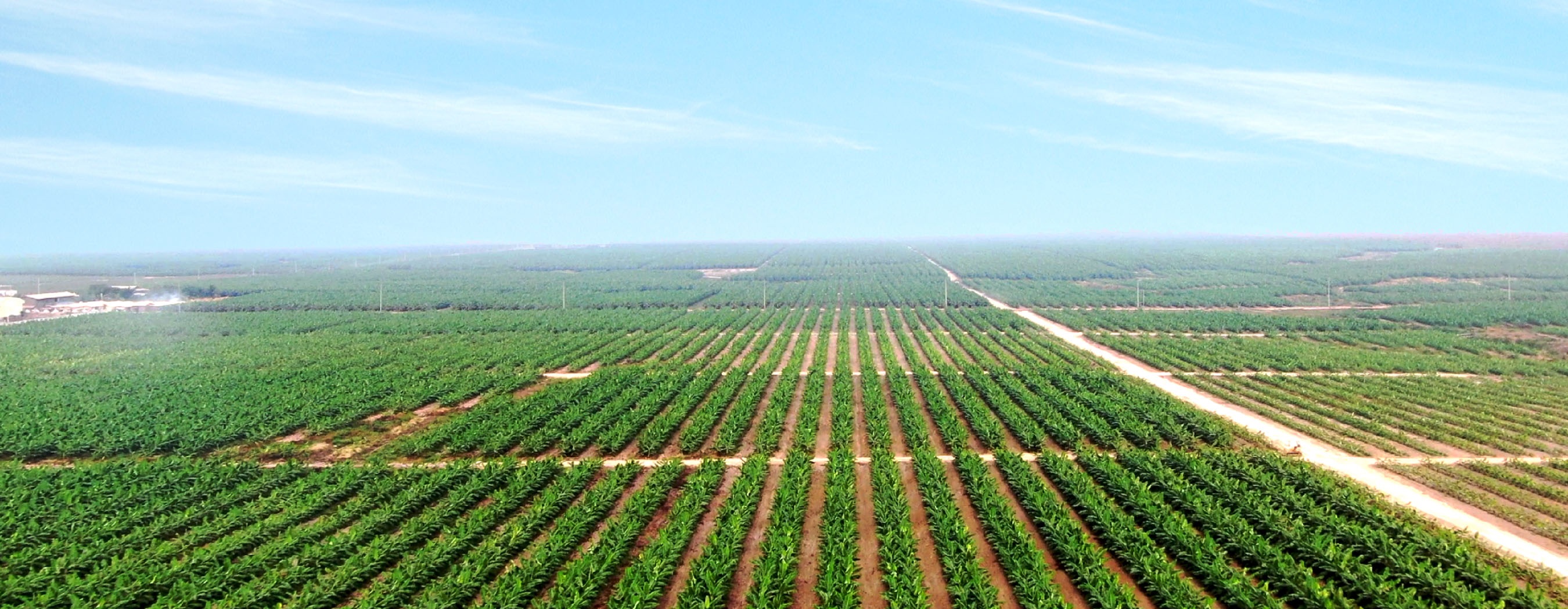 Thời của HAGL có trở lại, bầu Đức kết thúc những sai lầm? - 4 Thời của HAGL có trở lại, bầu Đức kết thúc những sai lầm? - 4