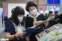 1 năm nữa nghỉ hưu mà thôi việc thì có được hưởng trợ cấp thất nghiệp?