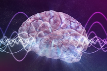 Khoa học khám phá loạt hoạt động trong não người ngay sau khi chết