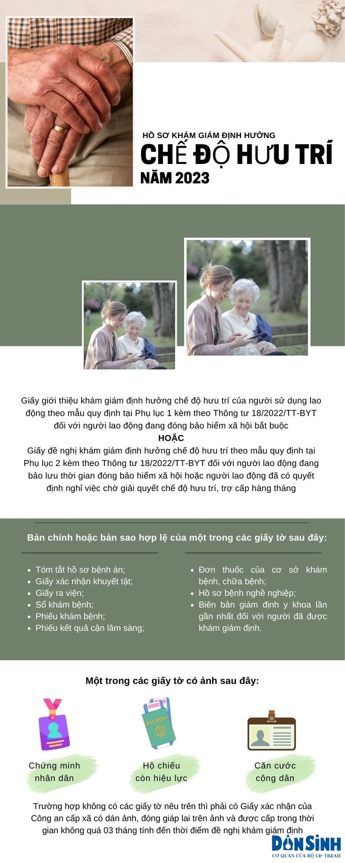 infographic 6
