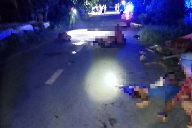 Mâu thuẫn trong lúc nhậu, 3 anh em ruột bị đâm thương vong