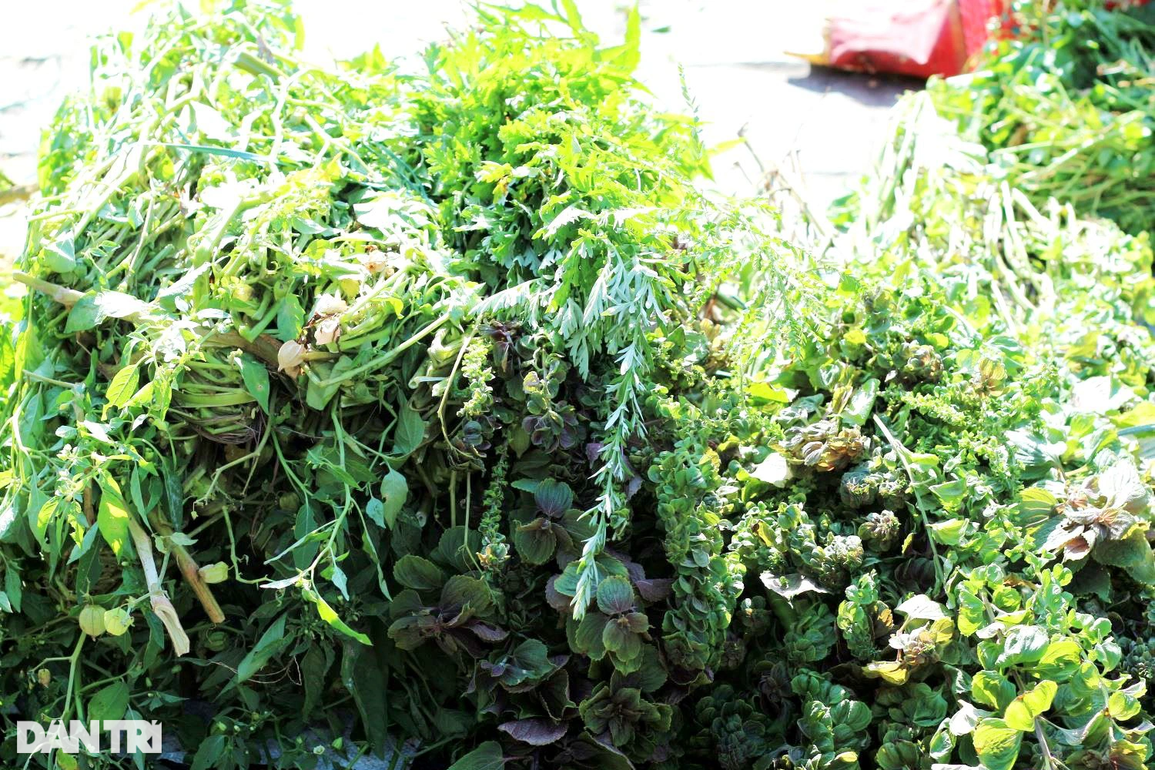 Gom nhặt cả năm cho phiên chợ lá chỉ bán vài ngày Tết Đoan ngọ - 3 Gom nhặt cả năm cho phiên chợ lá chỉ bán vài ngày Tết Đoan ngọ - 3
