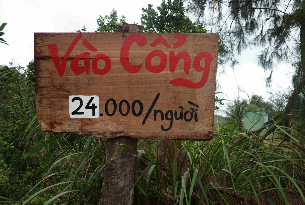 Nhiều điểm du lịch mọc trái phép trên núi ở Quy Nhơn - 3 Nhiều điểm du lịch mọc trái phép trên núi ở Quy Nhơn - 3